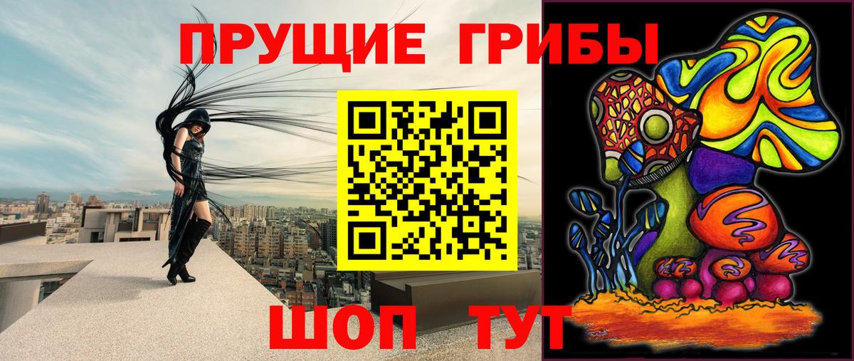 Саяногорск  Галлюциногенные грибы Magic Shrooms  что такое наркотик  Псилоцибиновые грибы прущие грибы  Вход с VPN 